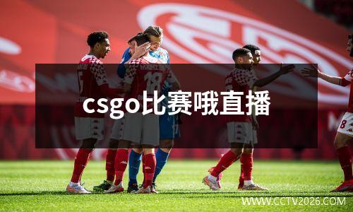 csgo比赛哦直播