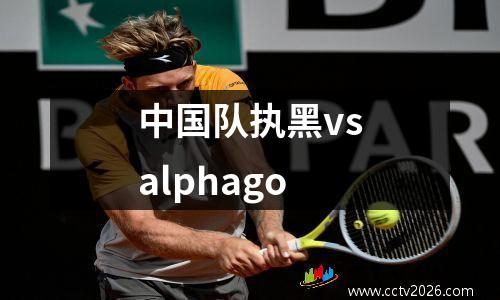 中国队执黑vsalphago