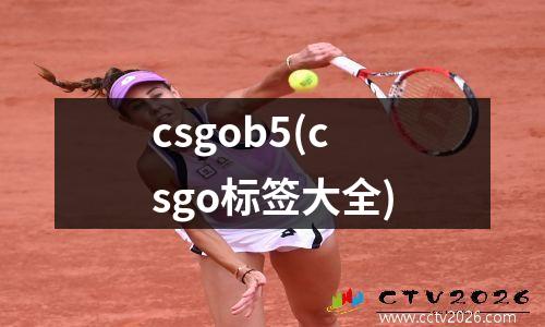 csgob5(csgo标签大全)