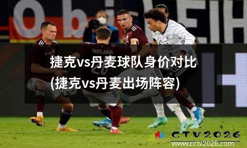 捷克vs丹麦球队身价对比(捷克vs丹麦出场阵容)