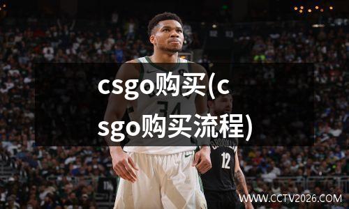 csgo购买(csgo购买流程)