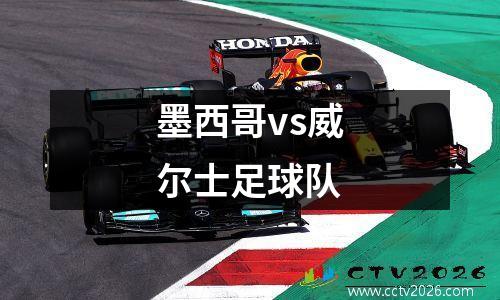墨西哥vs威尔士足球队