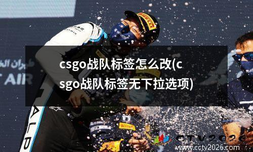 csgo战队标签怎么改(csgo战队标签无下拉选项)