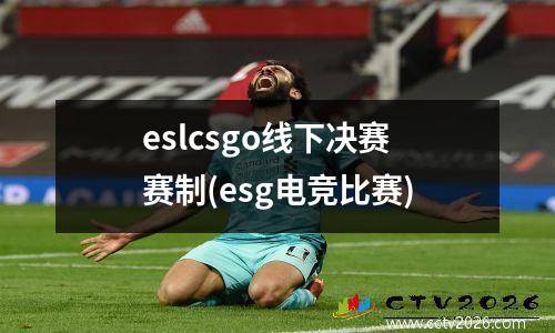eslcsgo线下决赛赛制(esg电竞比赛)