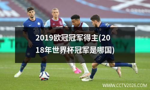 法国队vs南美球队(法国男篮对美国男篮结果)