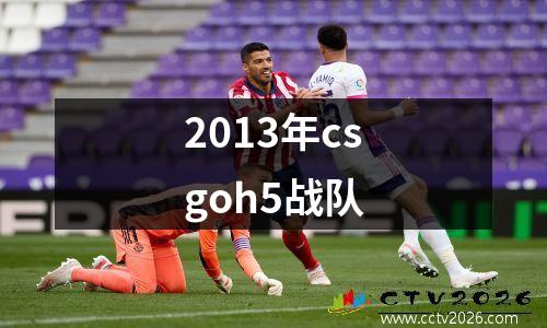 2013年csgoh5战队