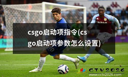 csgo启动项指令(csgo启动项参数怎么设置)