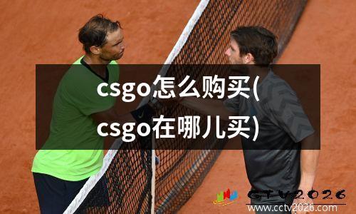 csgo怎么购买(csgo在哪儿买)