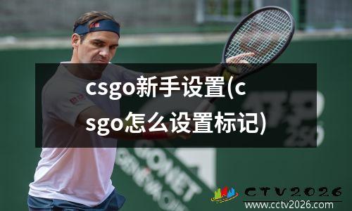 csgo新手设置(csgo怎么设置标记)