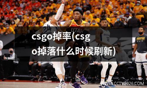 csgo掉率(csgo掉落什么时候刷新)