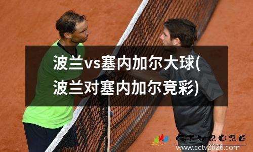 波兰vs塞内加尔大球(波兰对塞内加尔竞彩)