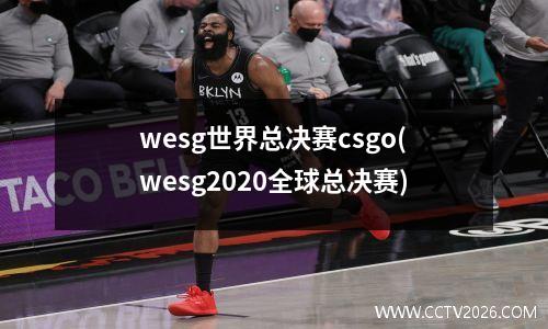 wesg世界总决赛csgo(wesg2020全球总决赛)