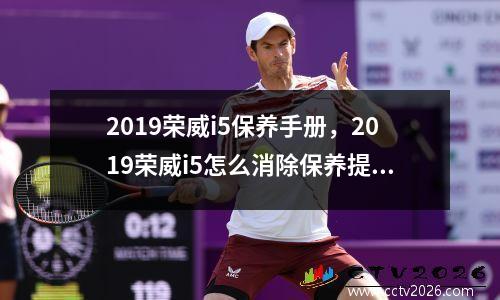 2019荣威i5保养手册，2019荣威i5怎么消除保养提示