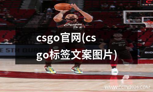 csgo官网(csgo标签文案图片)