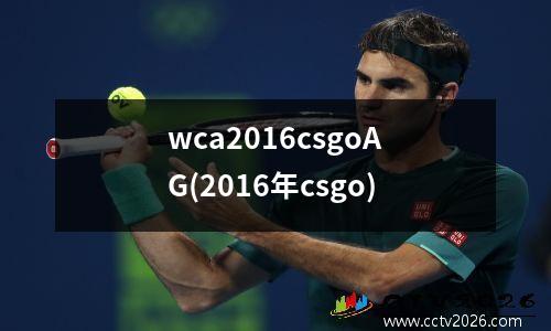 wca2016csgoAG(2016年csgo)