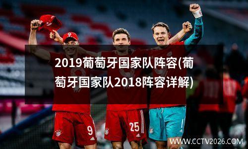 2019葡萄牙国家队阵容(葡萄牙国家队2018阵容详解)