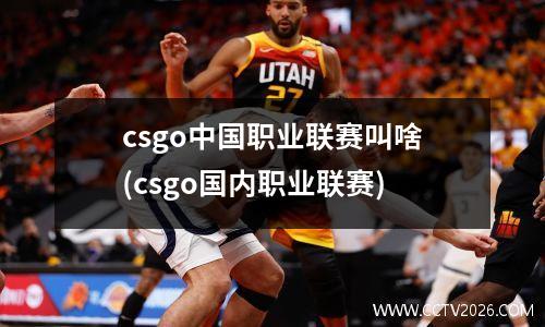 csgo中国职业联赛叫啥(csgo国内职业联赛)
