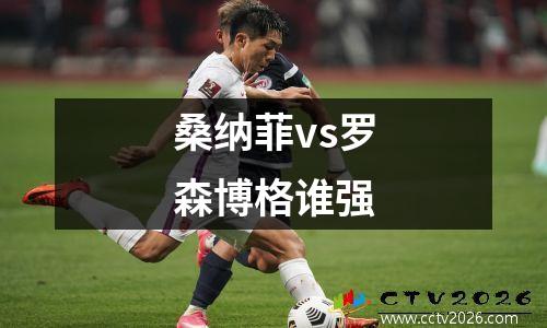 桑纳菲vs罗森博格谁强