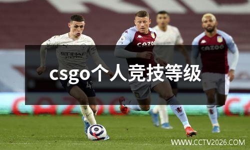 csgo个人竞技等级