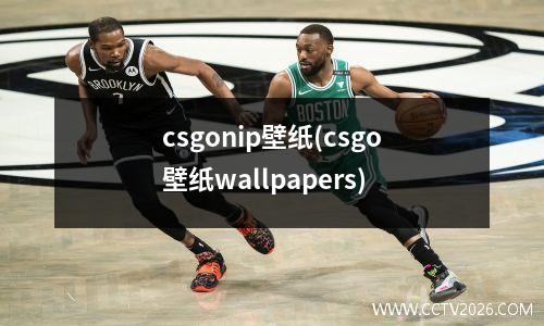 csgonip壁纸(csgo壁纸wallpapers)