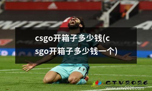 csgo开箱子多少钱(csgo开箱子多少钱一个)