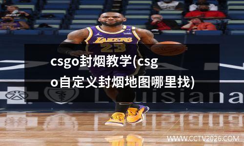 csgo封烟教学(csgo自定义封烟地图哪里找)