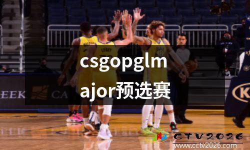 csgopglmajor预选赛