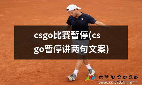 csgo比赛暂停(csgo暂停讲两句文案)