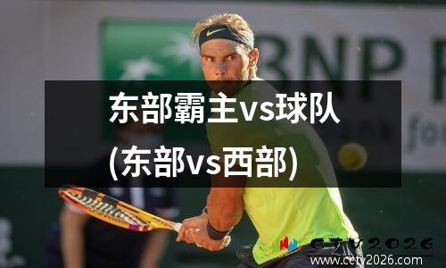 东部霸主vs球队(东部vs西部)