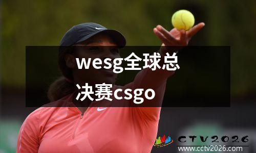 wesg全球总决赛csgo