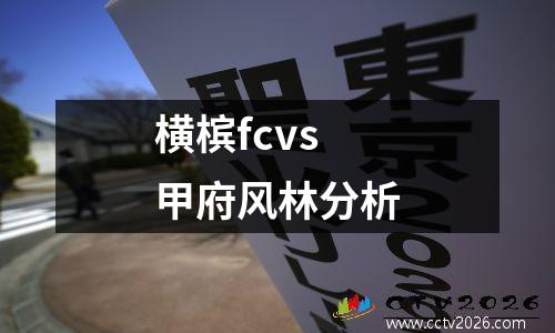 横槟fcvs甲府风林分析