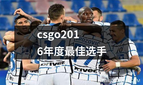 csgo2016年度最佳选手