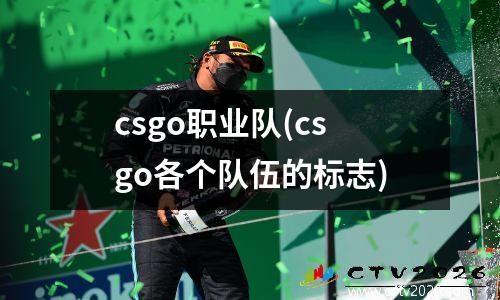 csgo职业队(csgo各个队伍的标志)