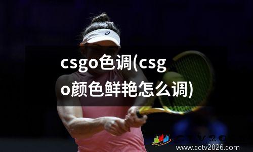 csgo色调(csgo颜色鲜艳怎么调)