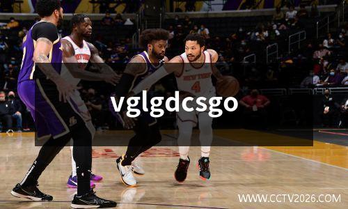 vglgdcsgo