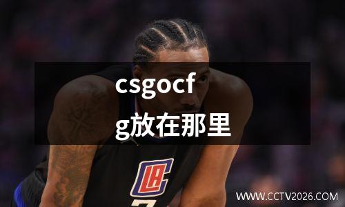csgocfg放在那里