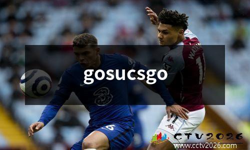 gosucsgo