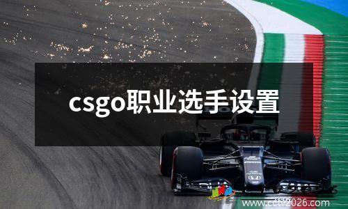 csgo职业选手设置