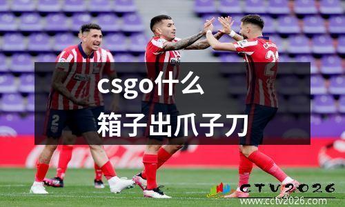 csgo什么箱子出爪子刀