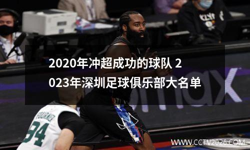 2020年冲超成功的球队 2023年深圳足球俱乐部大名单