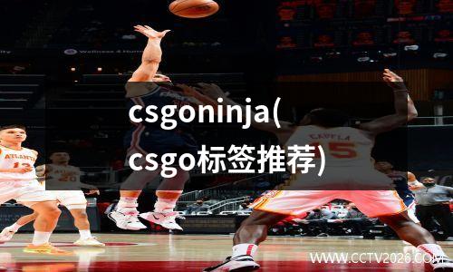 csgoninja(csgo标签推荐)