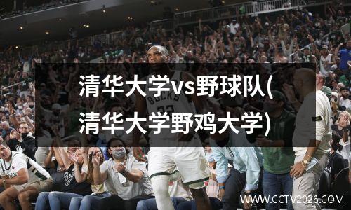 清华大学vs野球队(清华大学野鸡大学)