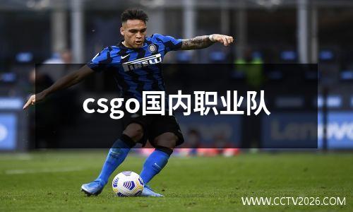 csgo国内职业队