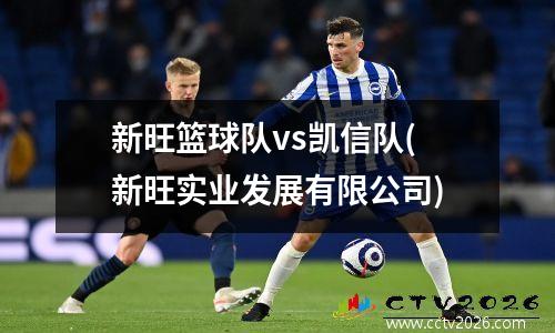新旺篮球队vs凯信队(新旺实业发展有限公司)