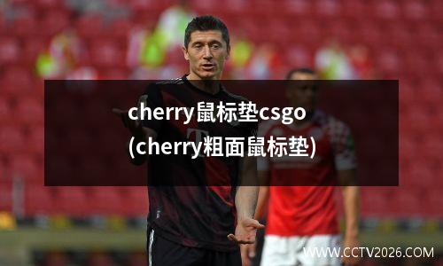 中乙中能vs陕西大秦(中乙 陕西)
