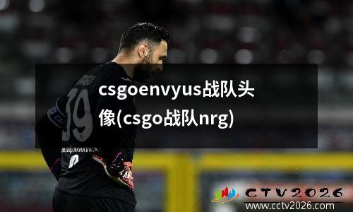 csgoenvyus战队头像(csgo战队nrg)