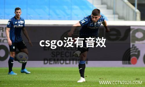 csgo没有音效