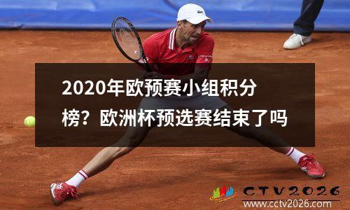 2020年欧预赛小组积分榜？欧洲杯预选赛结束了吗
