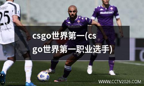 csgo世界第一(csgo世界第一职业选手)