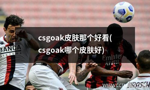 csgoak皮肤那个好看(csgoak哪个皮肤好)